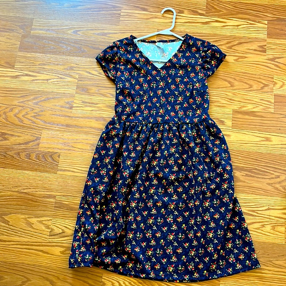 Honey and lace windsore dress size small barely worn
